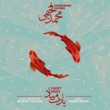 دانلود آهنگ جدید محمد فخیمی به نام یادت میاد